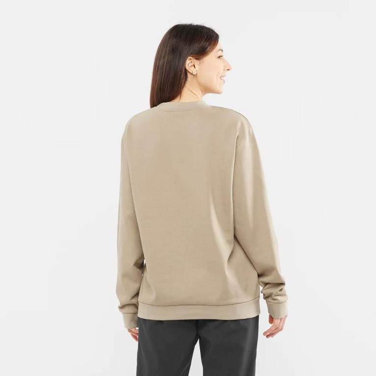 Beige Salomon Outlife Logo Summer Women's Sweatshirt | IE EW5427